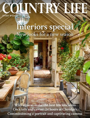 Country life magazine - magazine, 14